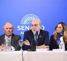 Autoridades y representantes de la industria minera disertaron en el Senado Nacional