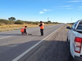 Por evaluación de calzada, transitar con precaución sobre RN 157