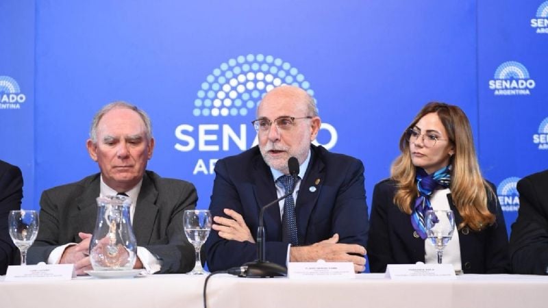 Autoridades y representantes de la industria minera disertaron en el Senado Nacional