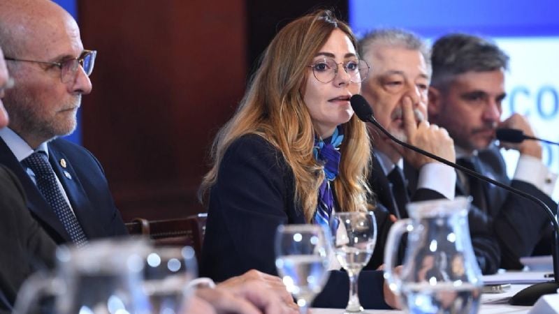 Autoridades y representantes de la industria minera disertaron en el Senado Nacional