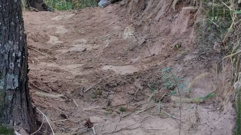 Londres: recuperan la traza de un sendero con fines recreativos