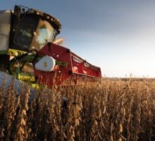 La economía creció 3,5% mensual en marzo y 5,5% interanual