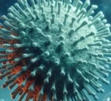 Nación intensifica la vigilancia y los testeos preventivos por hantavirus