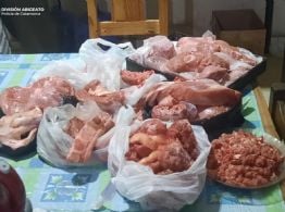 Hallaron restos ocultos entre los árboles y descubrieron un presunto caso de abigeato