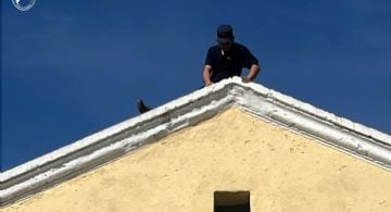 Rescatan a un gato atrapado en la chimenea de una escuela y lo devuelven a su dueña