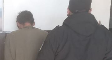 Insólito: cayó cuando intentaba vender árboles robados y terminó detenido
