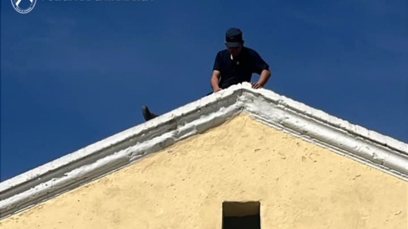 Rescatan a un gato atrapado en la chimenea de una escuela y lo devuelven a su dueña