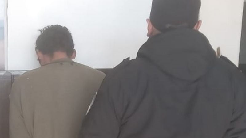 Insólito: cayó cuando intentaba vender árboles robados y terminó detenido