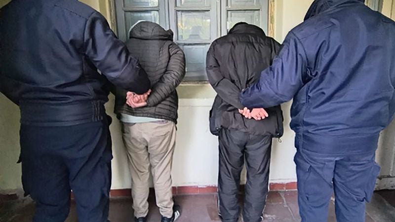 Fueron detenidos tras provocar disturbios en la Fiesta Nacional de la Mandarina