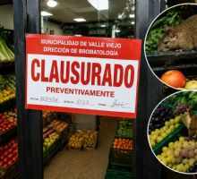 Clausuran una verdulería denunciada por tener ratas y comadrejas entre los alimentos