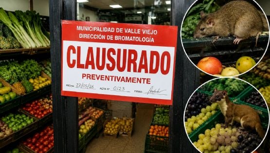Clausuran una verdulería denunciada por tener ratas y comadrejas entre los alimentos