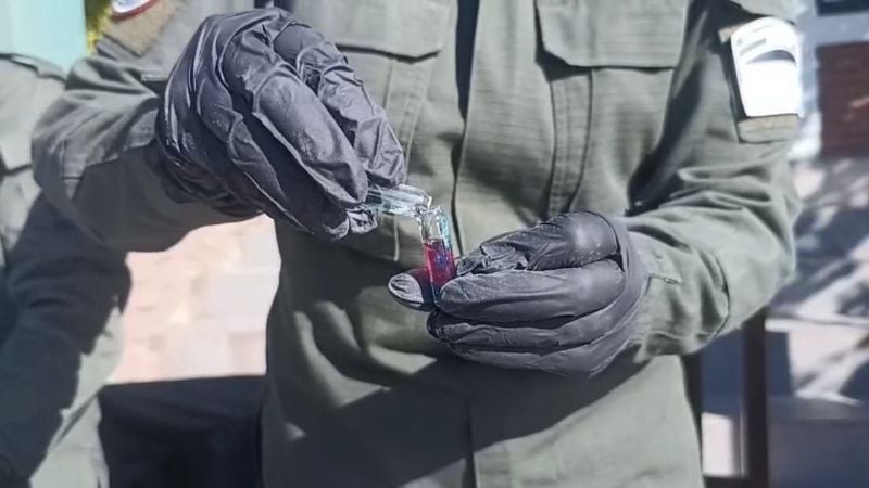 Más de 258 kilos de cocaína fueron destruidos en un megaoperativo