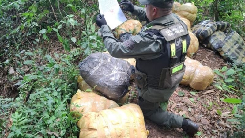 Ocultaban casi 190 kilos de marihuana entre la maleza