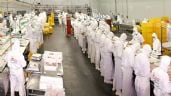 Granja Tres Arroyos cerró su planta de Entre Ríos y peligran 950 empleos