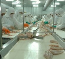 Más de 1.200 trabajadores cobran sus sueldos en cuotas y la UATRE apunta contra WADE