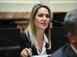 Diputadas radicales rechazaron el proyecto de Carolina Losada sobre falsas denuncias
