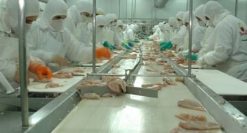 Más de 1.200 trabajadores cobran sus sueldos en cuotas y la UATRE apunta contra WADE