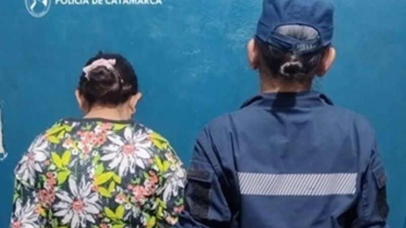 La policía detuvo a una joven que apuñaló a su hermano