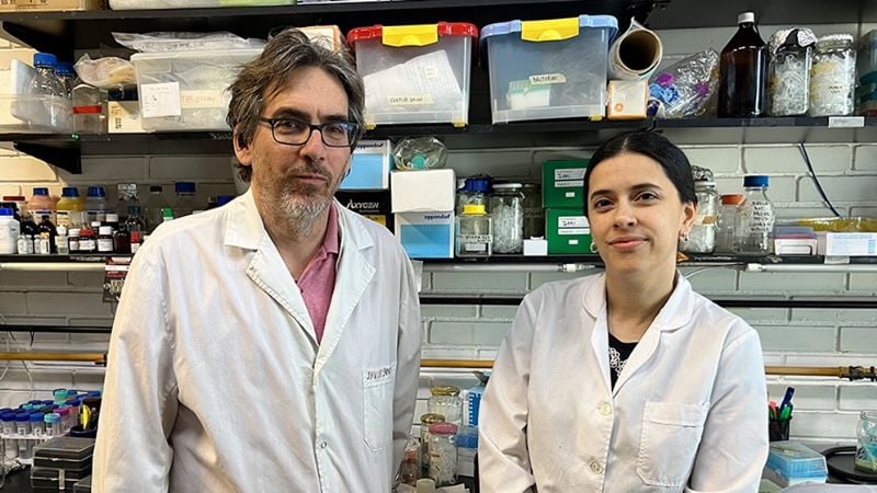 Científicos argentinos logran un avance histórico contra una enfermedad genética sin cura