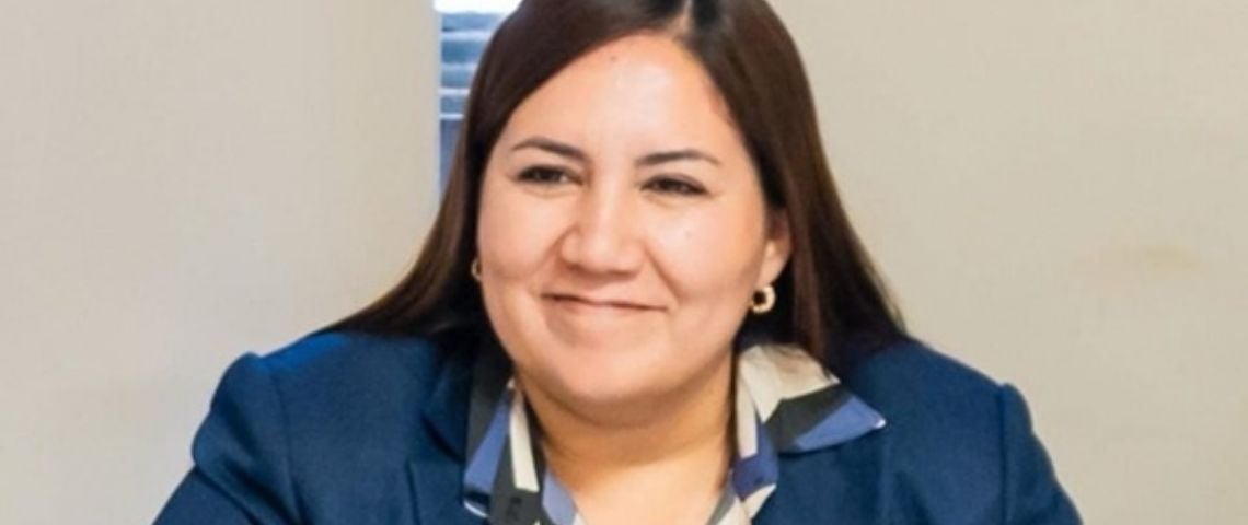 “No hay modelo de desarrollo: hay administración de la dependencia”