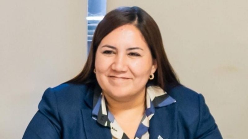 “No hay modelo de desarrollo: hay administración de la dependencia”