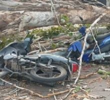 Un árbol cayó sobre motociclistas en plena calle