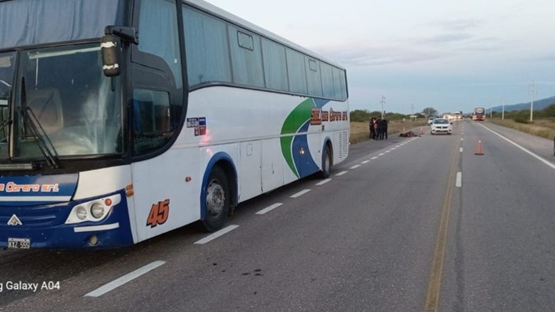 Un colectivo de larga distancia chocó contra un animal suelto