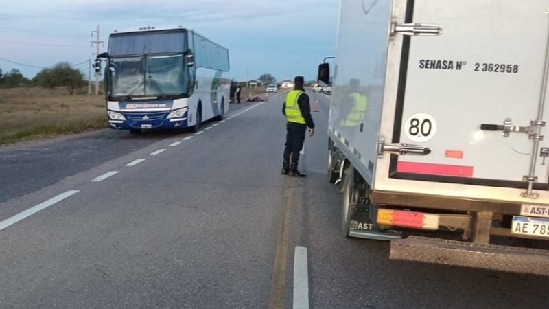 Un colectivo de larga distancia chocó contra un animal suelto