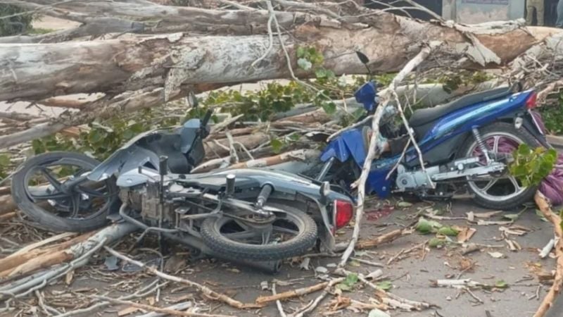 Un árbol cayó sobre motociclistas en plena calle