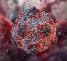 La OMS confirmó cinco casos positivos de hantavirus