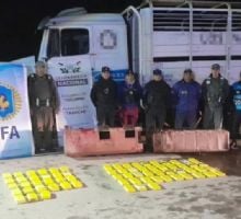GNA detuvo a un camión con más de 70 kilos de cocaína que era escoltado por un auto