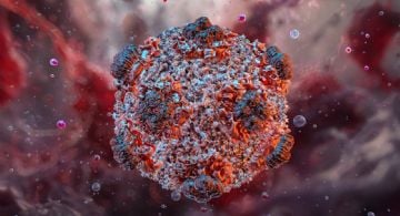 La OMS confirmó cinco casos positivos de hantavirus