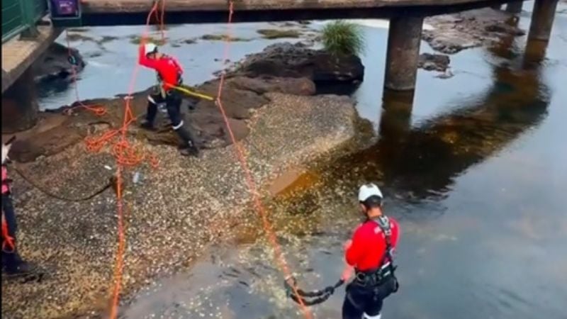 Sorpresa en las Cataratas del Iguazú: encontraron 400 kilos de monedas