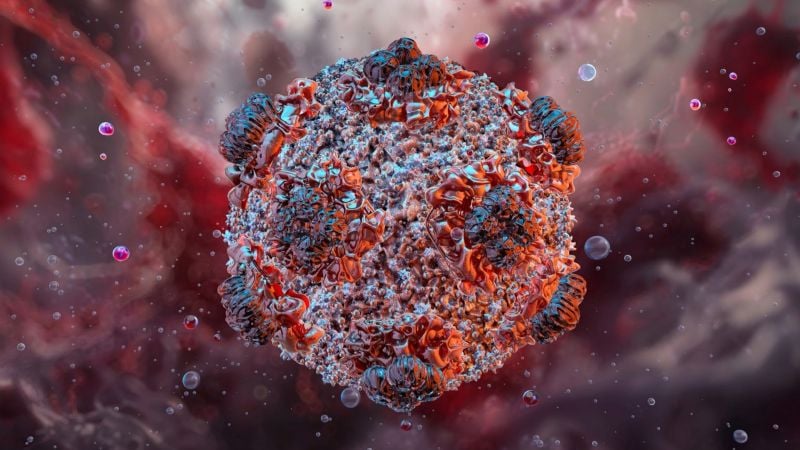 La OMS confirmó cinco casos positivos de hantavirus