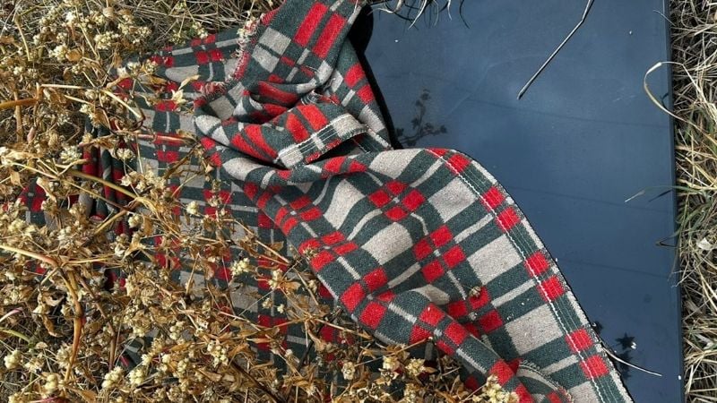 Escondió un televisor robado en un sitio baldío