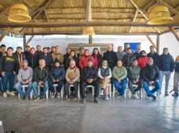 Artistas santamarianos recibieron una remuneración