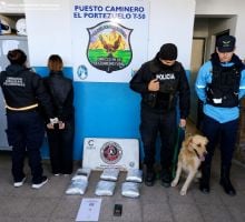 Secuestran más de 6 kilos de marihuana y detienen a una joven en un control antidroga