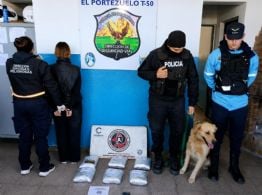 Secuestran más de 6 kilos de marihuana y detienen a una joven en un control antidroga