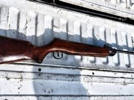 Secuestraron un rifle vinculado a un presunto maltrato animal