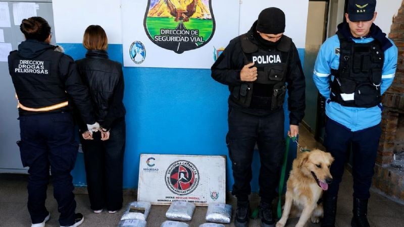 Secuestran más de 6 kilos de marihuana y detienen a una joven en un control antidroga