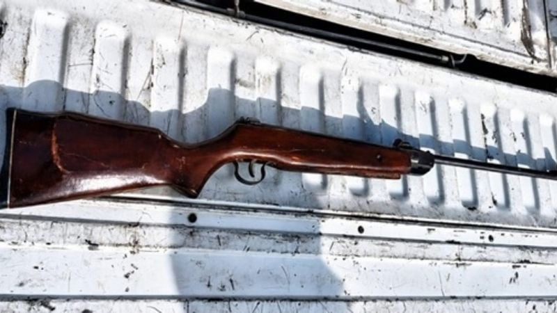Secuestraron un rifle vinculado a un presunto maltrato animal