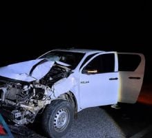 No paran los accidentes: nuevo choque contra un vacuno en Ruta 46