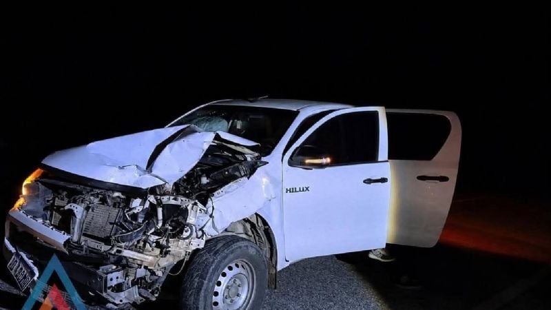 No paran los accidentes: nuevo choque contra un vacuno en Ruta 46