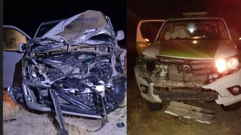 Animales sueltos provocaron dos violentos accidentes en Pomán