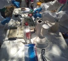 CONICET y Salud encabezan una investigación local sobre Hantavirus