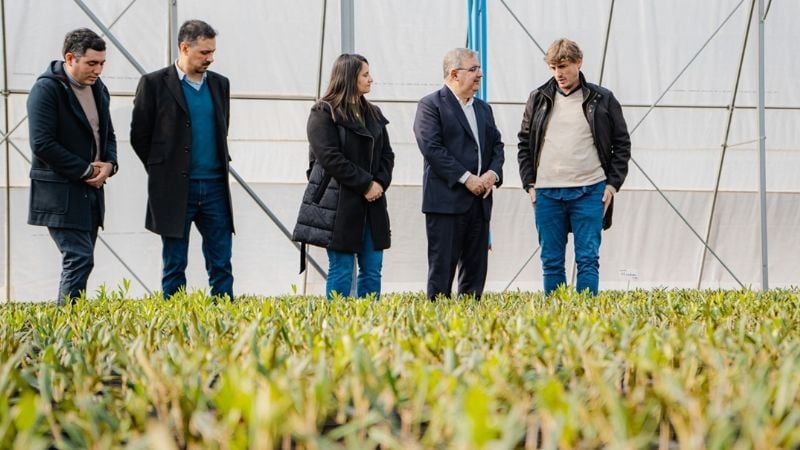 Empresa agroindustrial inaugura un vivero con tecnología de avanzada en FME