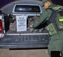 Secuestran más de 130 piedras minerales y un arma durante controles en rutas riojanas