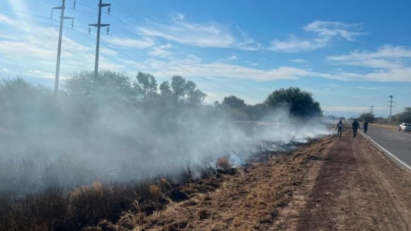 Refuerzan prevención ante la temporada alta y un aumento de incendios forestales