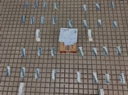 Transportaba casi 300 comprimidos de ansiolíticos en un colectivo de larga distancia