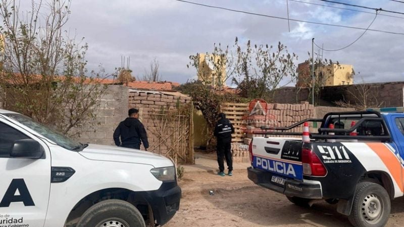 Indignante: detuvieron a un sujeto por matar y mutilar perros